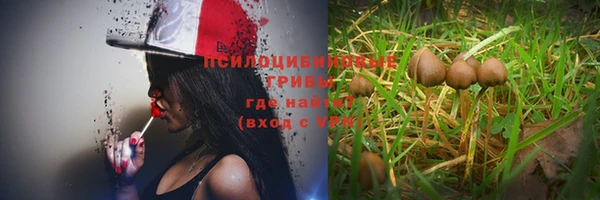 прущие крисы Алексин