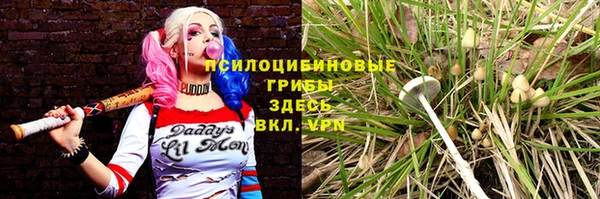 спиды Алзамай